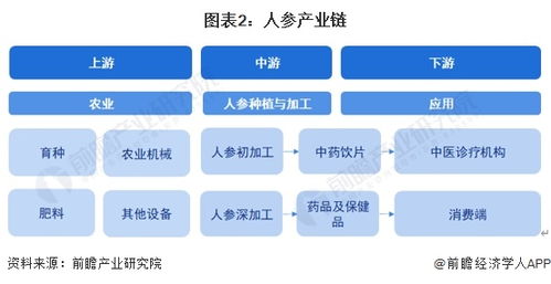 2024年中國人參行業全景圖譜 市場現狀、競爭格局與AI賦能的開發趨勢